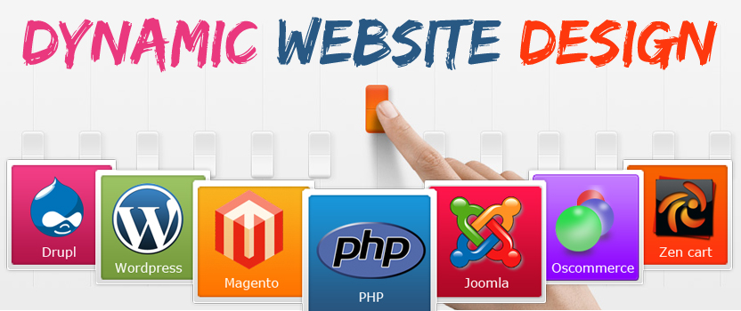 Website Design Service