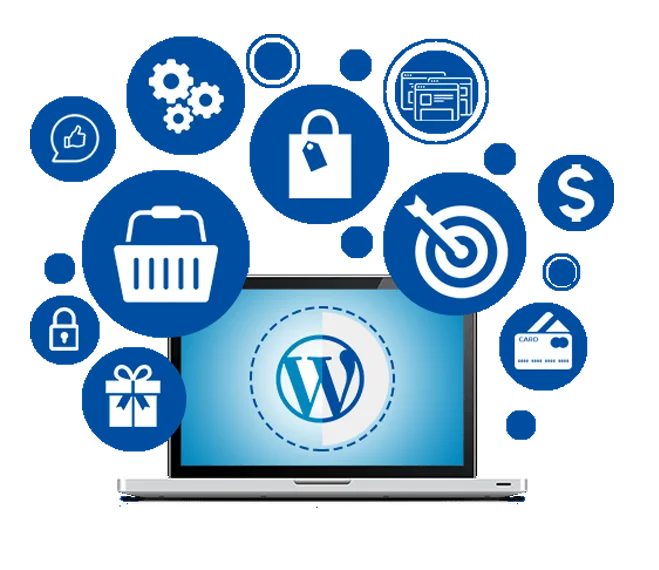 Website development company